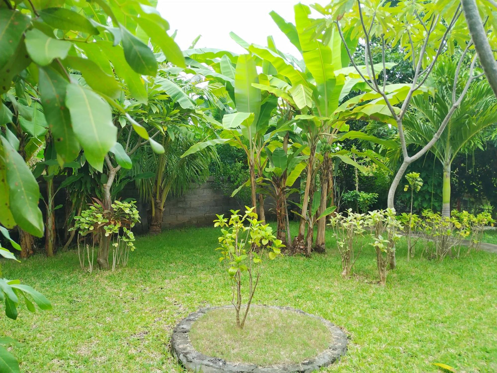 Asih Homestay بيموتيران المظهر الخارجي الصورة